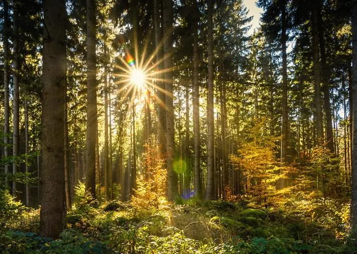 Дом отдыха In Stijl